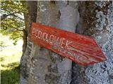 Kranjski Rak - Gradišče (Velika planina)